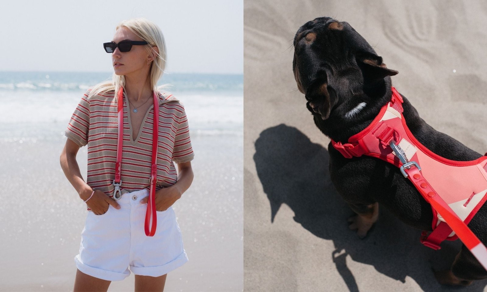 Wholesale Dog Apparel: What Buyers Should Prepare First